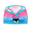 Dog Choke Free Harness American River Ombre Collection