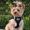 Dog Harness American River Solid Ultra Choke Free