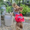 Dog Dress Cherry Stripe Harness with Matching Leash