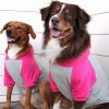 Dog Multi Color-Block Hoodie