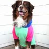 Dog Multi Color-Block Hoodie
