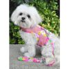 Dog Harness Cool Mesh with Leash