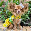 Dog Ladybugs and Daisies Dress with Matching Leash