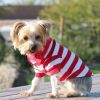 Dog Striped Polo